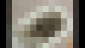どんどん溜まるうんこが流れない!!!part③ サンプル画像11