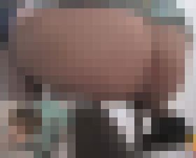 どんどん溜まるうんこが流れない!!!part④ サンプル画像01