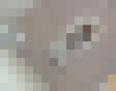 どんどん溜まるうんこが流れない!!!part④ サンプル画像11