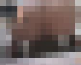 どんどん溜まるうんこが流れない!!!part⑤ サンプル画像11