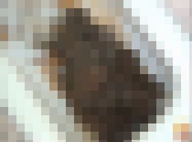 どんどん溜まるうんこが流れない!!!part⑥ サンプル画像02