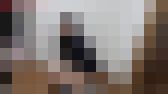 かなでの排泄に密着観察記録part① サンプル画像15