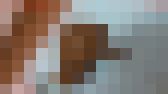 かなでの排泄に密着観察記録part① サンプル画像16