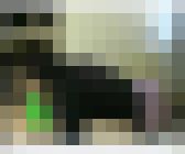 いにしえの援助交際57 カーセックス サンプル画像14