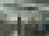 【バッキーシリーズ】露出バカ一代 スペシャル　サンプル画像14