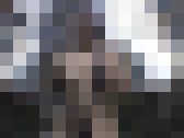 【バッキーシリーズ】露出バカ一代 スペシャル　サンプル画像19