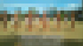 近代化した裸族部落の今を追うアースドキュメンタリー　サンプル画像03