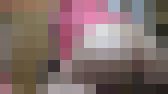 かなでの排泄を密着観察記録part④ サンプル画像11
