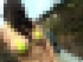 プチ裸出 VOL.10　サンプル画像03