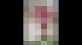 禁断の〇〇K動画全集12名　サンプル画像11