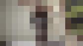 自撮りコレクション３　サンプル画像13