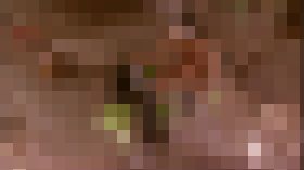 知られざる裸族の日常ドキュメンタリー2 サンプル画像01