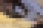 4812325 【無修正】【口内射精】毎度おなじみスレンダー美人人妻の自宅をついに公開。旦那が仕事で出かけてる間に・・・[前半]　サンプル画像12