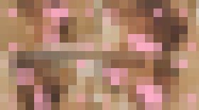【初撮り】【顔出し】【モ無】【生中】SSS級最強スタイル美女のバキューム濃厚フェラと中出しパラダイスセックス！！　サンプル画像02