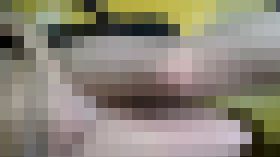 至近距離でしか移せない理由。。。お察しくっださいね サンプル画像02