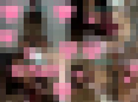 ■関西援VIP(13星座シリーズ)しし座・ゆめ■デジタルリマスターver.　サンプル画像01