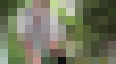 野外で恐縮です8 サンプル画像22