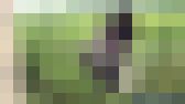 野外で恐縮です9 サンプル画像13