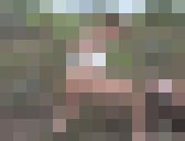 【海外美女たち】脱糞　サンプル画像15