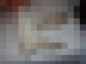 いろいろなソックス！　フェチマニアシリーズ　その４４９　サンプル画像14