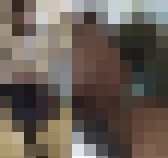 フェチマニアシリーズまとめ その431〜その440 サンプル画像14