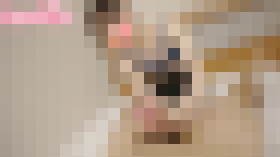 初々しくあどけない現役JDのメンエス嬢に種付けしたったw サンプル画像03