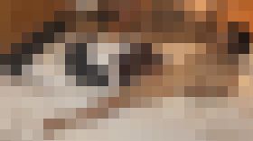 コレクション その2-2 ゆみちゃん(仮称) サンプル画像02