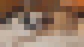 コレクション その2-2 ゆみちゃん(仮称) サンプル画像14