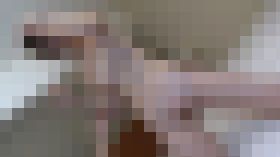 新パイパン専門動画06　サンプル画像02
