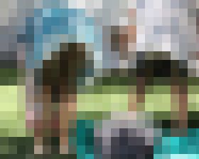 ワンピース画像の特集 フェチマニアシリーズ その453 サンプル画像02