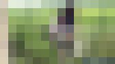 《無修正》こんな所でこんなに丸見え サンプル画像20