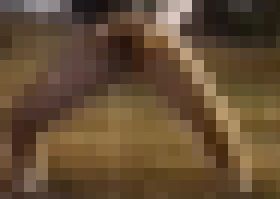 うんこおしっこするのに場所なんて私たちには関係ないのです?どこでも出ちゃいます? サンプル画像03