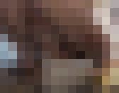 うんこおしっこするのに場所なんて私たちには関係ないのです?どこでも出ちゃいます? サンプル画像11