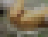 私の身体とうんこしているところを見てください?見られてるのに興奮します?　サンプル画像18