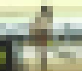 エッチなプレイランド画像の大特集! フェチシリーズ その457 サンプル画像16