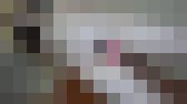 【膣内映像あり】ブサカワJDちゃんで遊ぶ　サンプル画像13