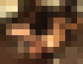 【超醜い豚便器】美女の５日排便５匹の人間便器図鑑　雫編　サンプル画像12
