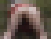 私の一番エッチなところ?　サンプル画像21