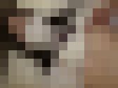 転校していった彼女との再会。そして心ゆくまで射精　サンプル画像13