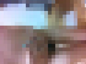 《個人流失》恥ずかしいけ今からいいっぱい出すね サンプル画像01