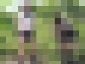 女子校の生徒たちが、下校途中に屋外で用を足せる場所　サンプル画像12
