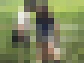 女子校の生徒たちが、下校途中に屋外で用を足せる場所　サンプル画像20