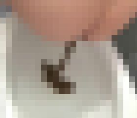 私たちのうんち公開します♪ サンプル画像01