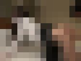 学校からの帰り道、初めてパイ刷りと中出しを経験した女子学生 サンプル画像13