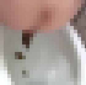 私たちのうんち公開します♪3 サンプル画像01