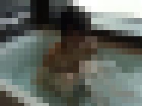 留学から帰国したばかりの、美しい19歳の女子大生 サンプル画像03