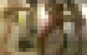 Shower girl.No.13　サンプル画像02