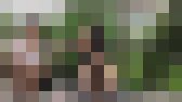 パンチラ119 サンプル画像16
