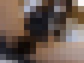 明るく愛らしいテニス部3年 サンプル画像12