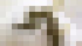 美女の秘密な排泄記録♪へたっと落ちていくうんちをご覧ください♪ サンプル画像18